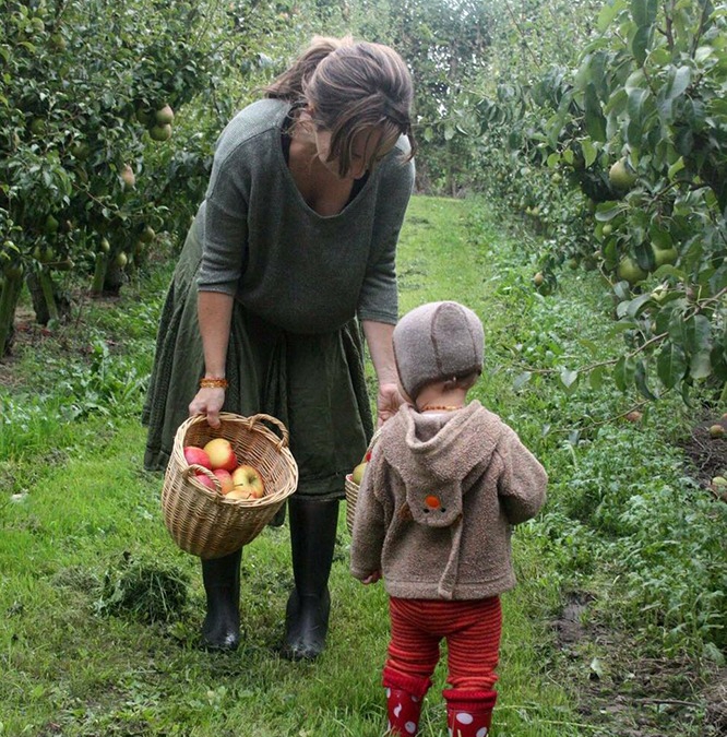 Waarom appels plukken als je ze ook kunt kopen?