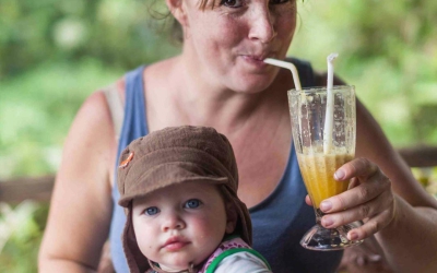 Maak zelf zomerse smoothies