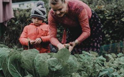 Hoe houd je vier jongens en een moestuin?