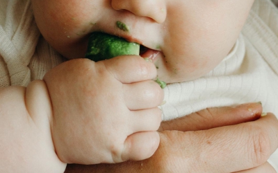 Monkey Platter: laat je kind zelf kiezen wat ze eet